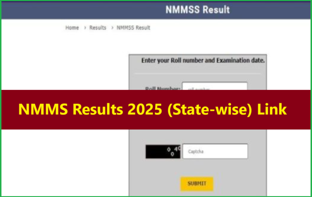 NMMS Results 2025 (State-wise) Link